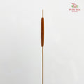Dry Cattail Stick