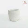 TX-JW10277 White Pot