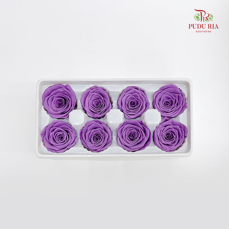 8 Bloom Preservative Rose - Amethyst Purple