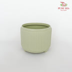 TY-8823 Asst Pot