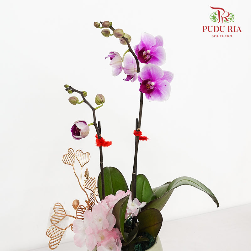 CNY Potted Plant Arrangement 2024#88