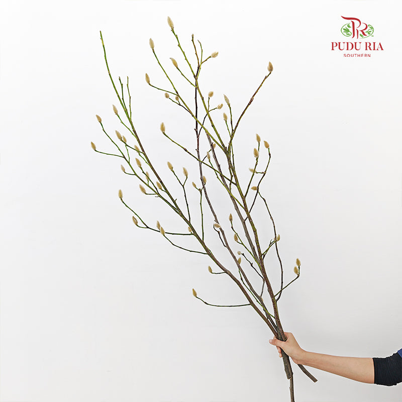 Magnolia White - (Per Bundle)