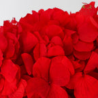Preservative Hydrangea - Red / Per Stem - Pudu Ria Florist Southern