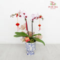 CNY Potted Plant Arrangement 2024#70