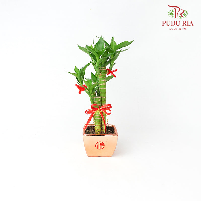 CNY Potted Plant Arrangement 2024#19