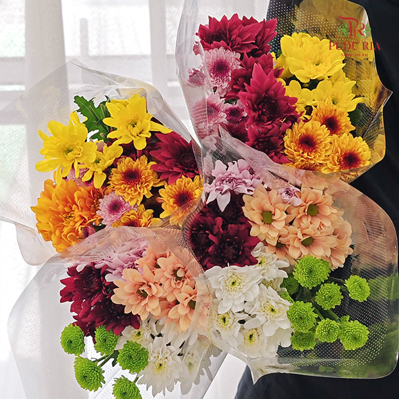 Chrysanthemum Pompom Mix Colour - (5 Stems)