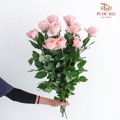 Rose Juliet Tower (8-10 Stems) - Pudu Ria Florist Southern