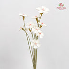 Dry Violet - White Center Pink