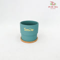 Asst Colours Pot - Pine Green - Pudu Ria Florist Southern