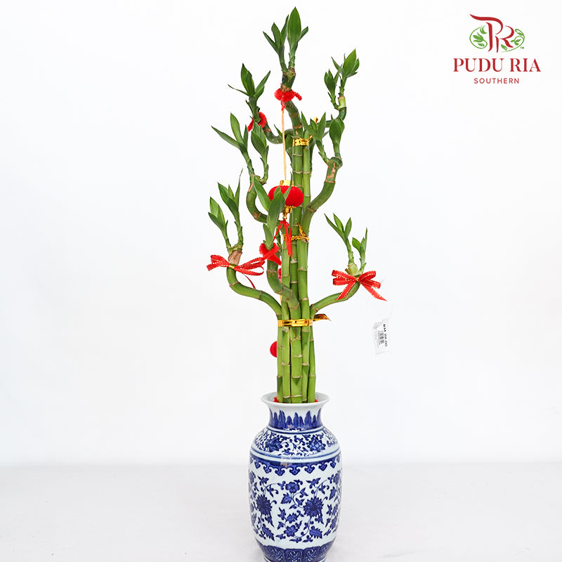 CNY Arrangement 2024#26
