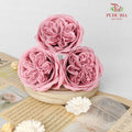16 Bloom Austin Soap Flower Ruddy Pink - FBA088#1