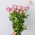 Rose Magenta (19-20 Stems) - Pudu Ria Florist Southern