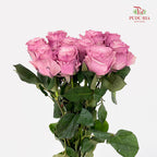 Rose Mondial Dyed Dusty Flamingo 2 - (8-10 Stems)