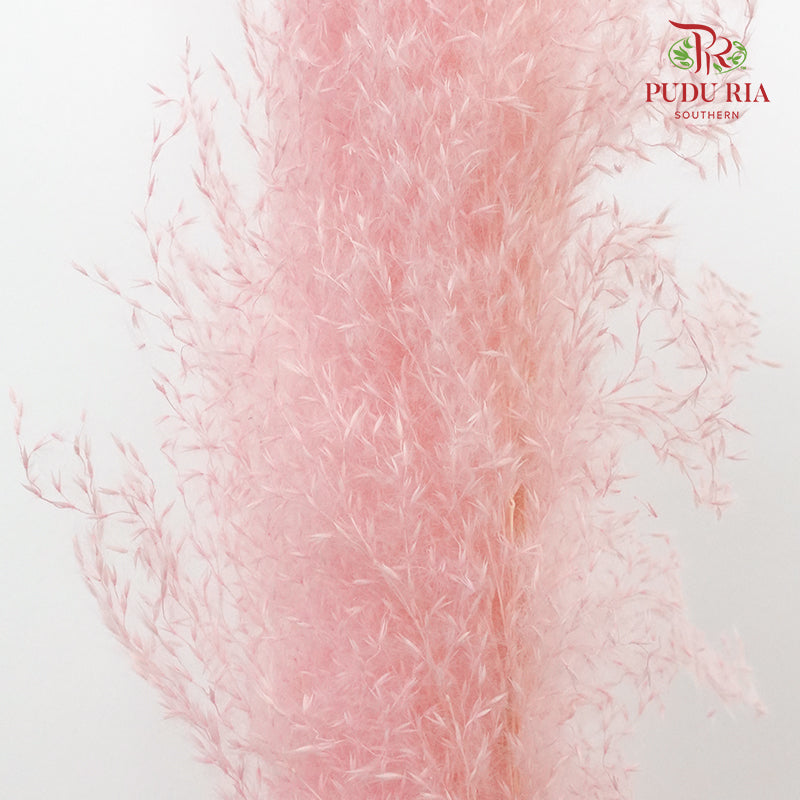 Dry Pampas Natural Pink - Pudu Ria Florist Southern