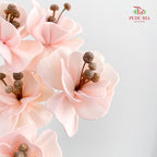 Dry Small Pomegranate Flower - Light Pink