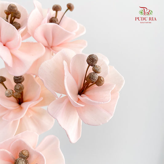 Dry Small Pomegranate Flower - Light Pink