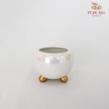 Asst Pot White