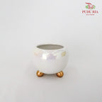 Asst Pot White