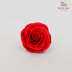 25 Bloom Soap Flower Awalking Badger Red - FBA089#2