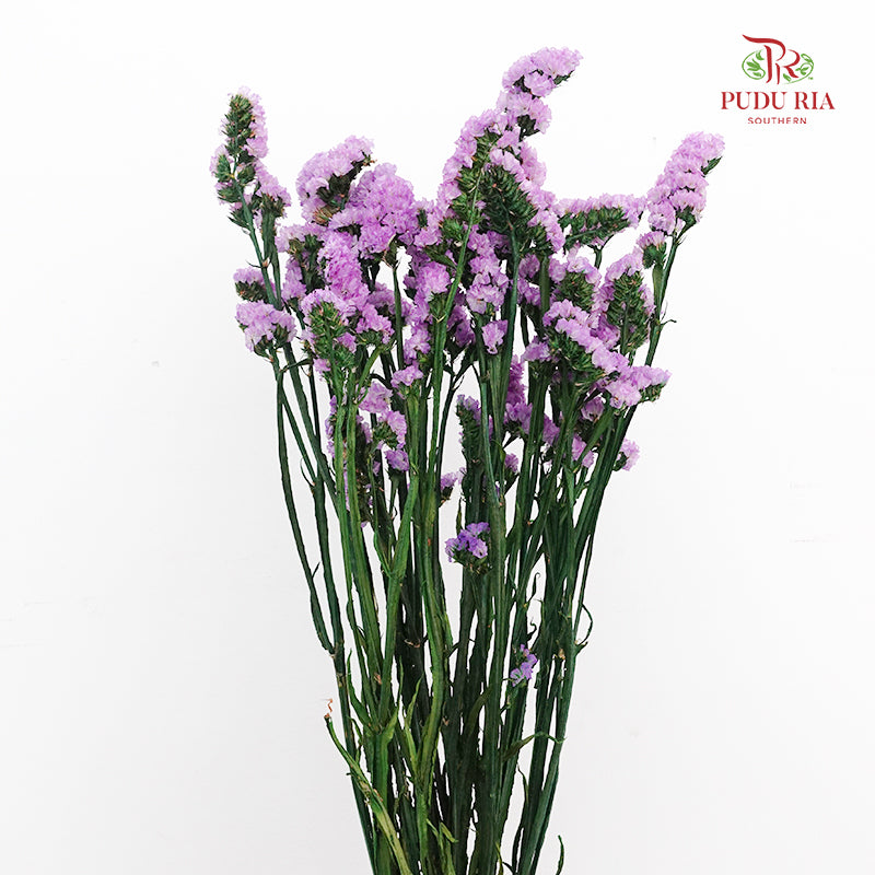 Dry Statice - Light Purple