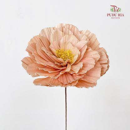 Dry Peony Handmade Apricot - Per Stem