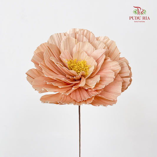 Dry Peony Handmade Apricot - Per Stem