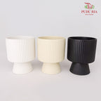 TY-8816 Pot