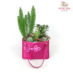 Plant Arrangement#1