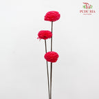 Dry Sola Wood Flower - Dark Pink