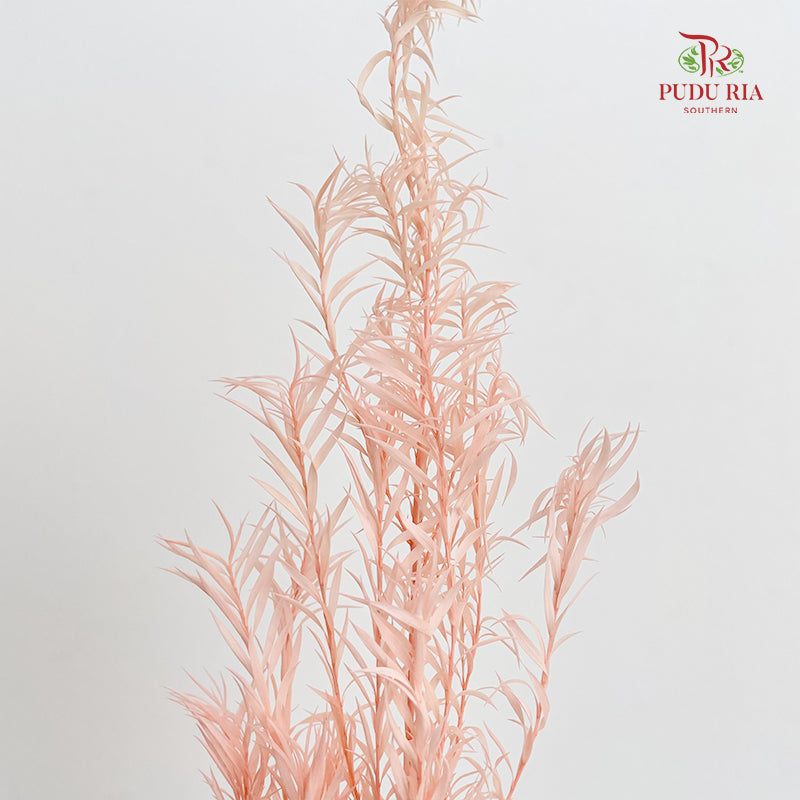 Dry Melaleuca Leaf Peach