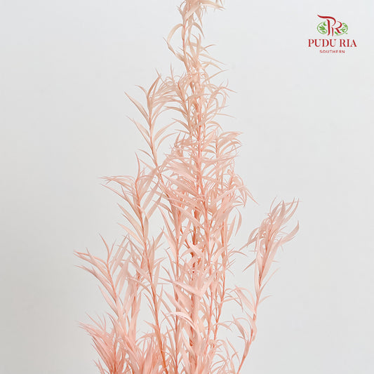 Dry melaleuca Leaf Peach