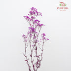 Preservative Baby Breath - Purple - Pudu Ria Florist Southern