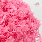 Preservative Hydrangea Small Petal -  Pink
