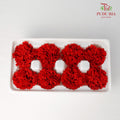 8 Bloom Carnation - Red - Pudu Ria Florist Southern