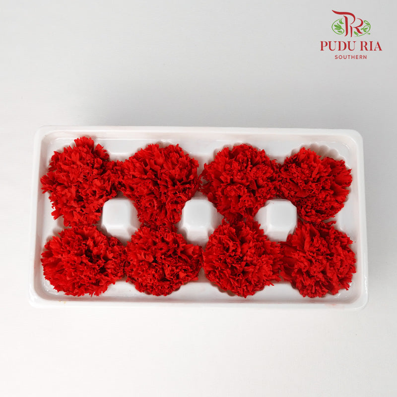 8 Bloom Carnation - Red - Pudu Ria Florist Southern