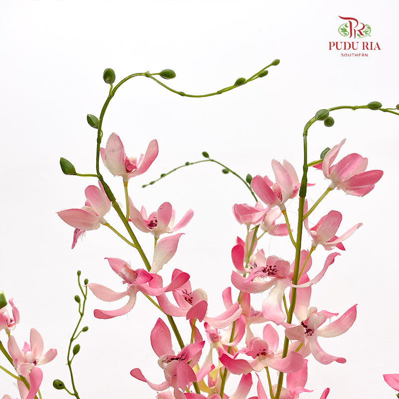 CNY Artificial Spider Orchid - (3 Stems)