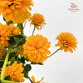 Heliopsis Helianthoides - (5 Stems)