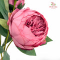 CNY Artificial Peony Sarah Spray Pink 80cm - (2 Stems)