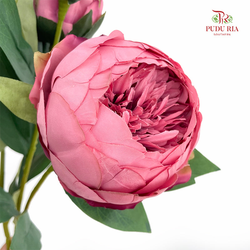 CNY Artificial Peony Sarah Spray Pink 80cm - (2 Stems)