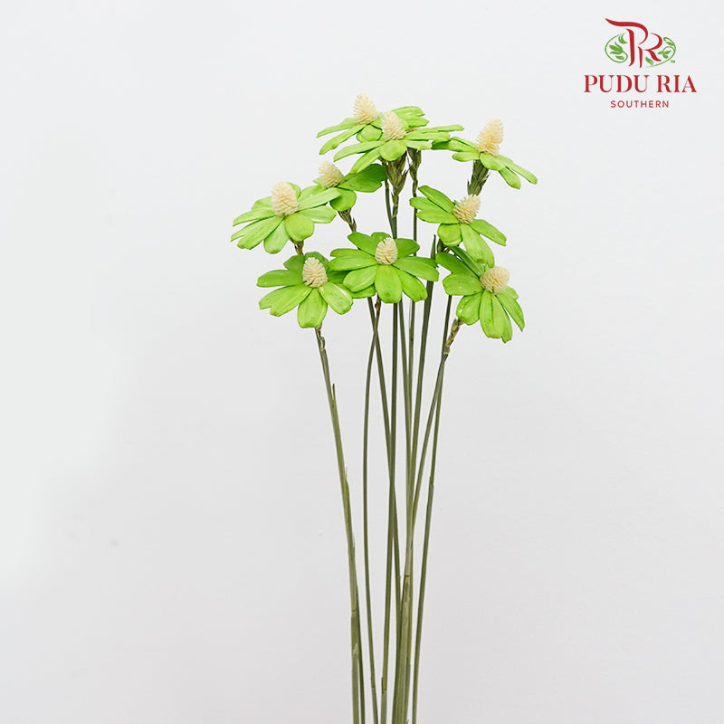 Dry Sunflower Seed Flower - Green (Disk Flower Yellow)