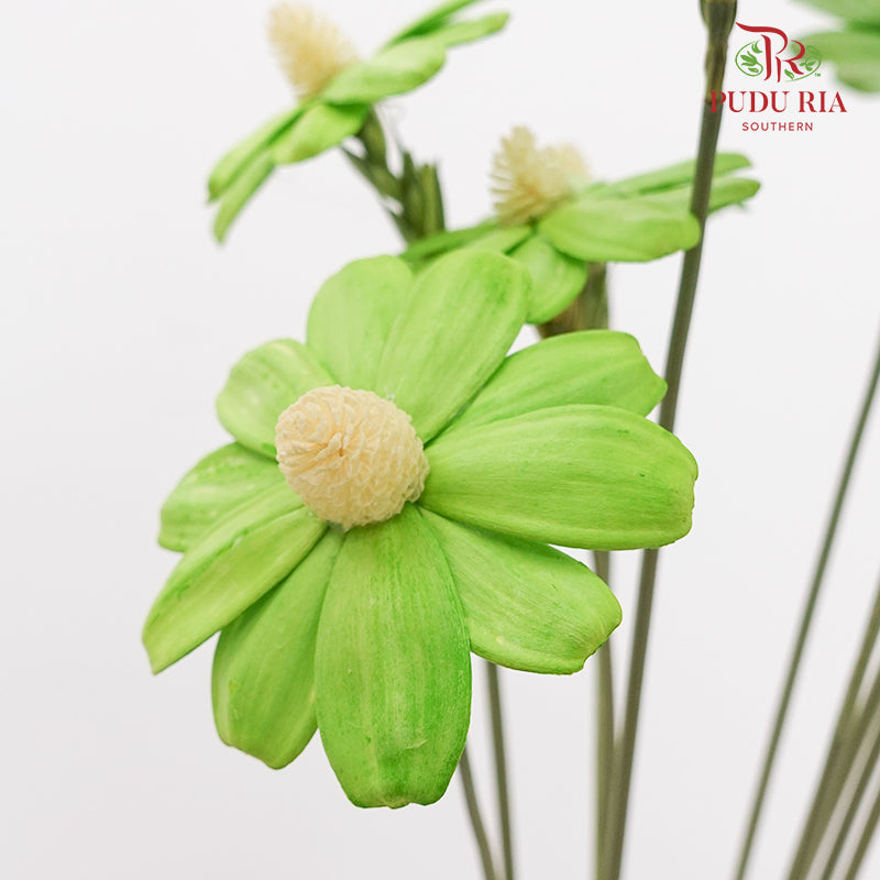 Dry Sunflower Seed Flower - Green (Disk Flower Yellow)