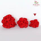 红绣球 Ribbon Ball