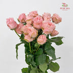 Rose Spray Georgia peach Spray - (6 Stems)