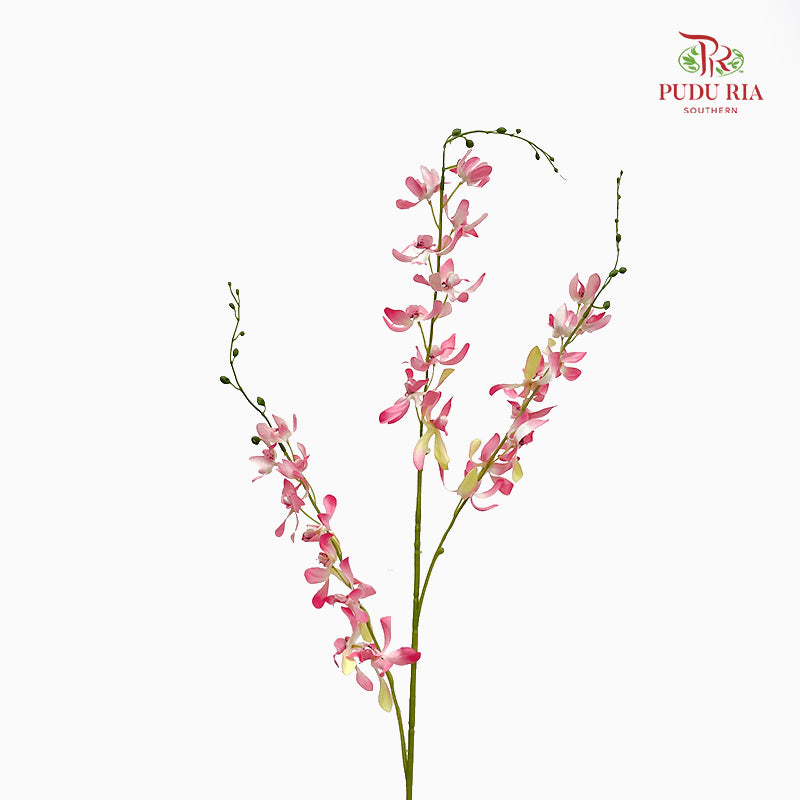 CNY Artificial Spider Orchid - (3 Stems)