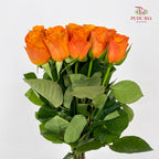 Rose Tabasco - (8-10 Stems)