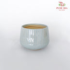 JBC-G23 Blue Pot