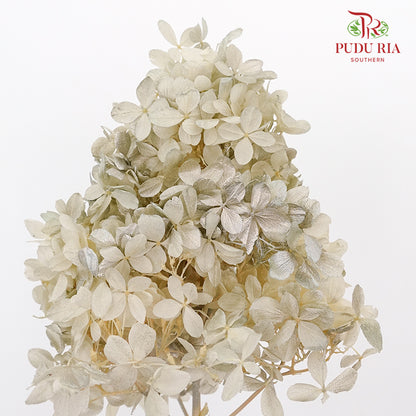 Preservative Hydrangea Peegee Beige - Pudu Ria Florist Southern