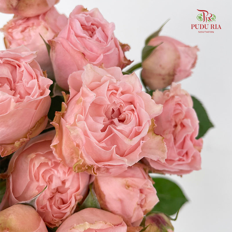 Rose Spray Georgia peach Spray - (6 Stems)