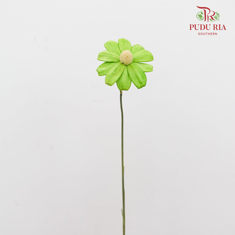 Dry Sunflower Seed Flower - Green (Disk Flower Yellow)