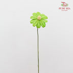 Dry Sunflower Seed Flower - Green (Disk Flower Yellow)